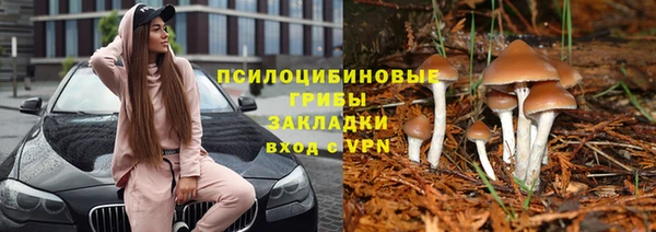 шишки Алексин
