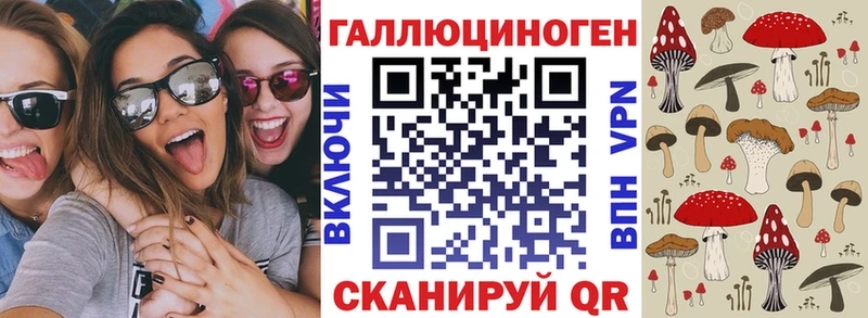 Псилоцибиновые грибы MAGIC MUSHROOMS  Фрязино 